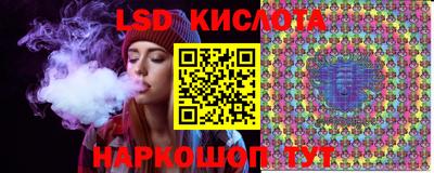 PSILOCYBIN Бугуруслан