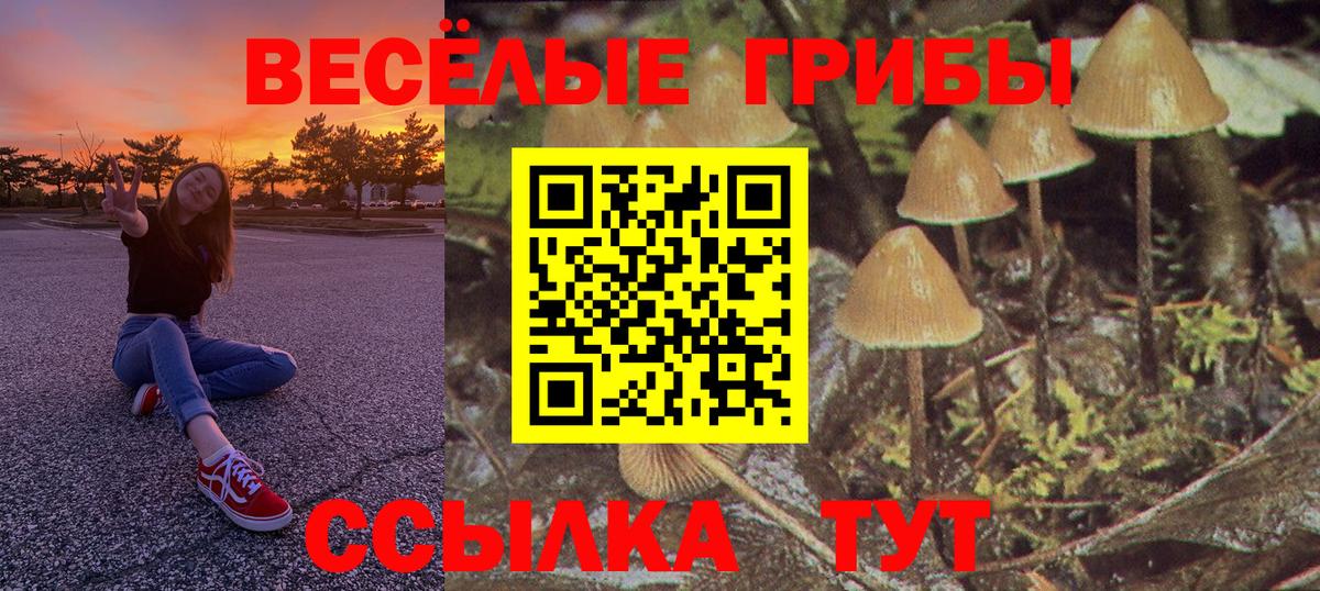 Галлюциногенные грибы мицелий Омск