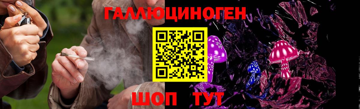 Галлюциногенные грибы MAGIC MUSHROOMS  Вход с VPN  Омск 