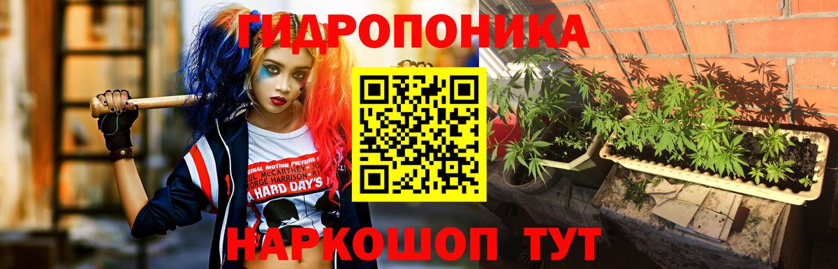 Бошки марихуана SATIVA & INDICA Омск